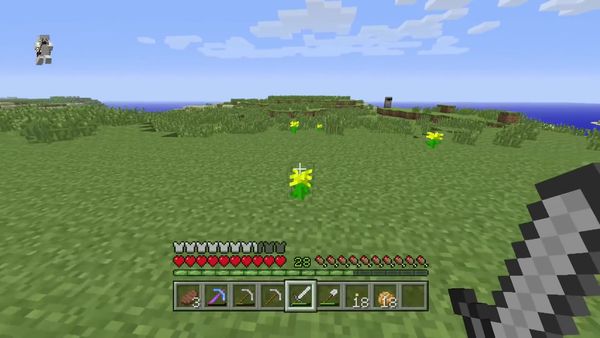PS4 Gameplay Minecraft - Zebra Gamer - Enchanting