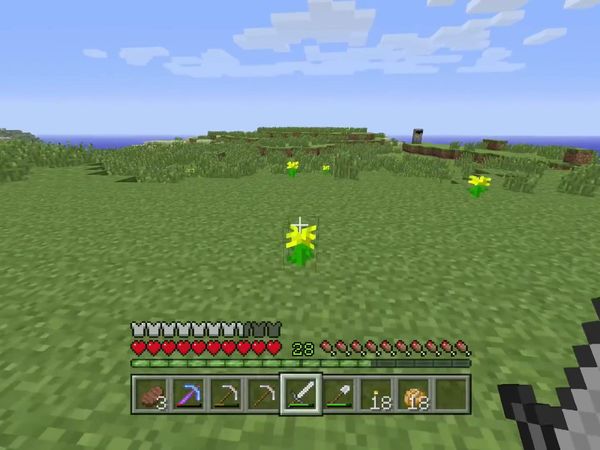 PS4 Gameplay Minecraft - Zebra Gamer - Enchanting