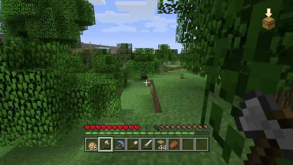 PS4 Gameplay Minecraft - Zebra Gamer - So Much Stuff