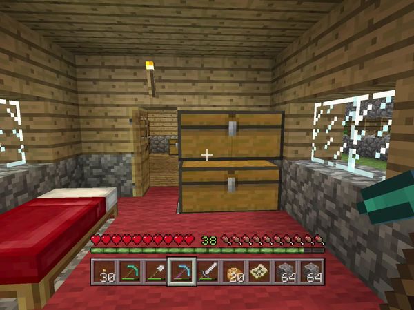 PS4 Gameplay Minecraft - Zebra Gamer - Overkill