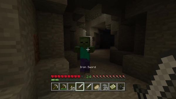 PS4 Gameplay Minecraft - Zebra Gamer - What A Surprise!