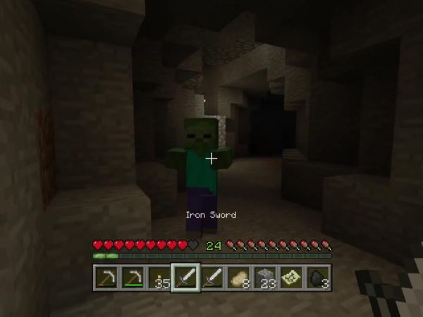 PS4 Gameplay Minecraft - Zebra Gamer - What A Surprise!
