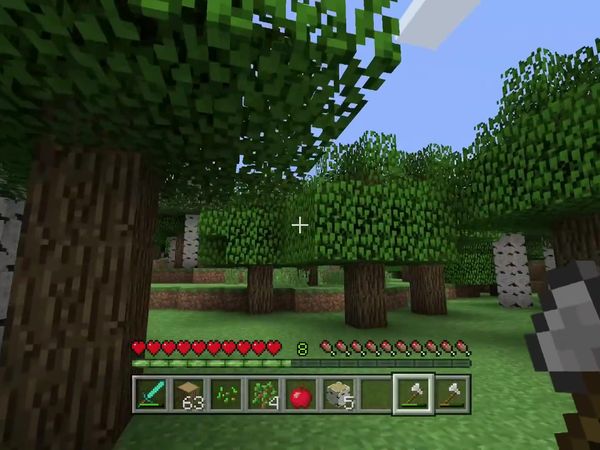PS4 Gameplay Minecraft - Zebra Gamer - Harvesting
