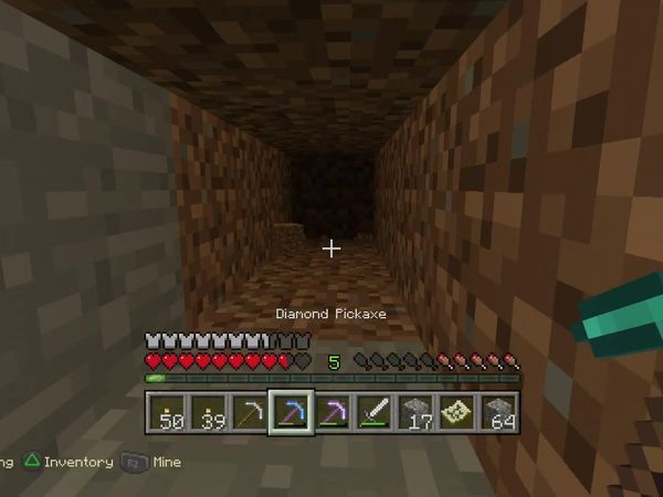PS4 Gameplay Minecraft - Zebra Gamer - Lucky Me