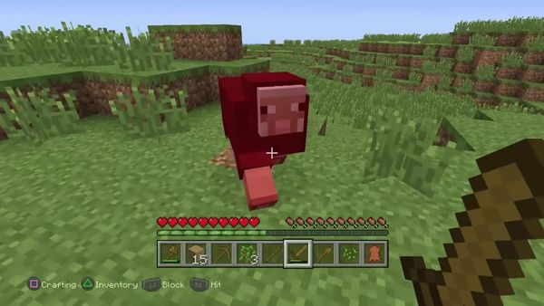 PS4 Gameplay Minecraft - Zebra Gamer - Zebratastic Adventures