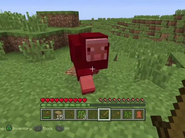 PS4 Gameplay Minecraft - Zebra Gamer - Zebratastic Adventures