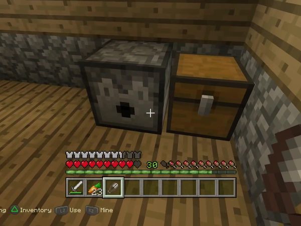 PS4 Gameplay Minecraft - Zebra Gamer - Night of Action