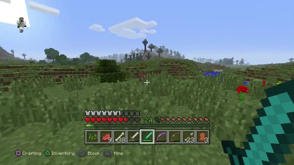 PS4 Gameplay Minecraft - Zebra Gamer - New Puppy
