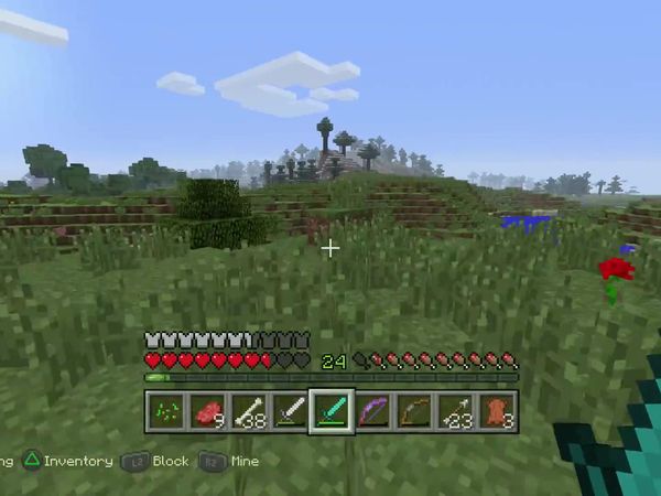 PS4 Gameplay Minecraft - Zebra Gamer - New Puppy