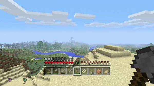 PS4 Gameplay Minecraft - Zebra Gamer - I Got Pants