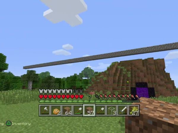 PS4 Gameplay Minecraft - Zebra Gamer - Spring Cleaning