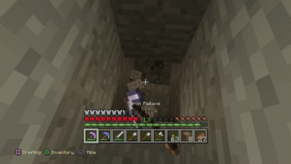 PS4 Gameplay Minecraft - Zebra Gamer - Little Oddball