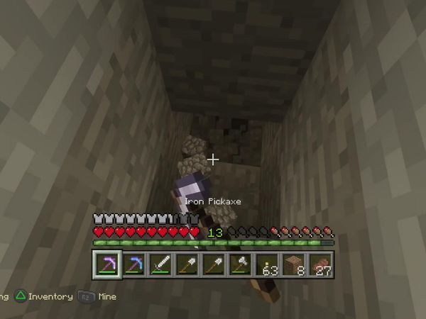 PS4 Gameplay Minecraft - Zebra Gamer - Little Oddball