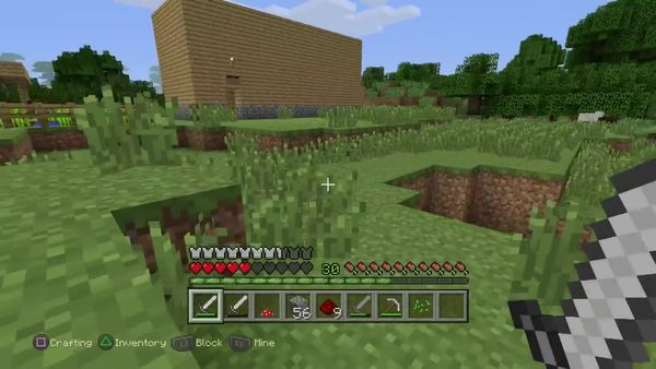 PS4 Gameplay Minecraft - Zebra Gamer - Remembering