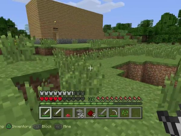 PS4 Gameplay Minecraft - Zebra Gamer - Remembering