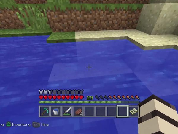 PS4 Gameplay Minecraft - Zebra Gamer - Errands