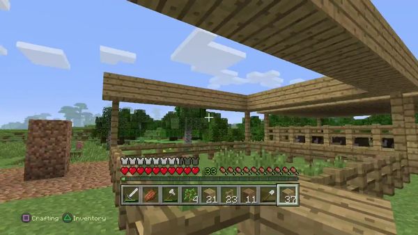 PS4 Gameplay Minecraft - Zebra Gamer - Cat Chase