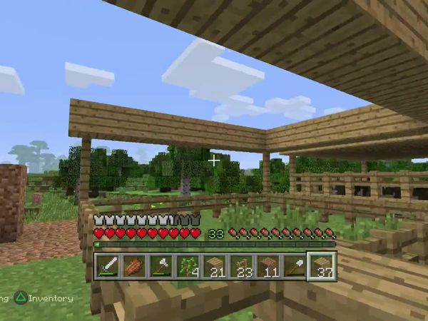 PS4 Gameplay Minecraft - Zebra Gamer - Cat Chase