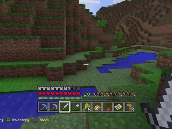 PS4 Gameplay Minecraft - Zebra Gamer - Temple Hunting