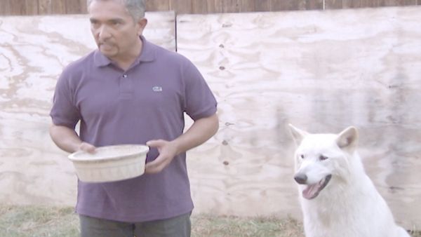 O Encantador de Cães - Hyde & Vada e Nacho