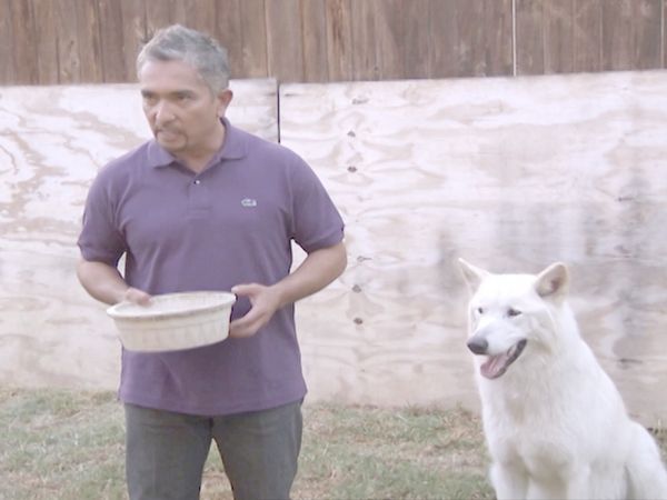 O Encantador de Cães - Hyde & Vada e Nacho