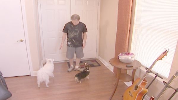 O Encantador de Cães - Cesar Goes to Vegas
