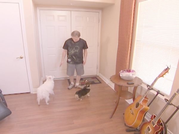 O Encantador de Cães - Cesar Goes to Vegas