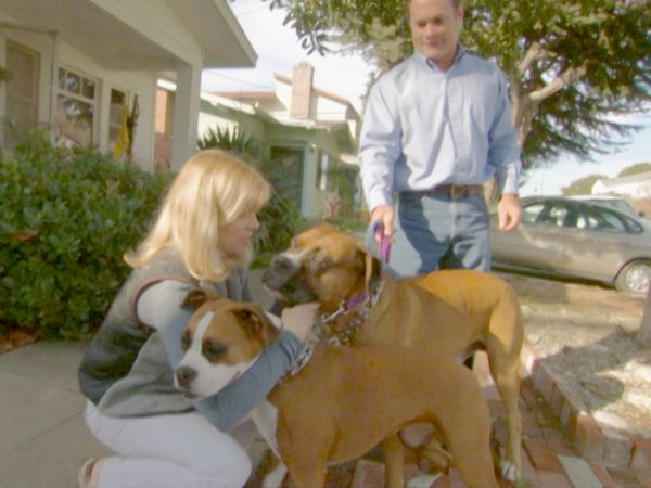 O Encantador de Cães - Cotton, Ricky, e Lila & Duke