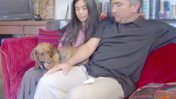 O Encantador de Cães - Lotus, Rocco, Hootie