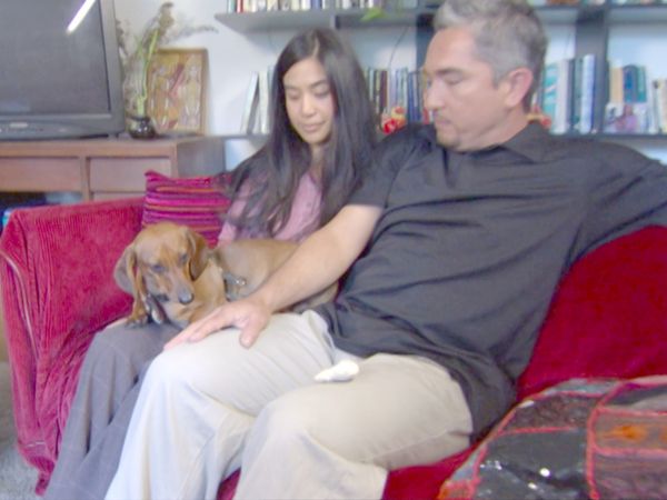 O Encantador de Cães - Lotus, Rocco, Hootie
