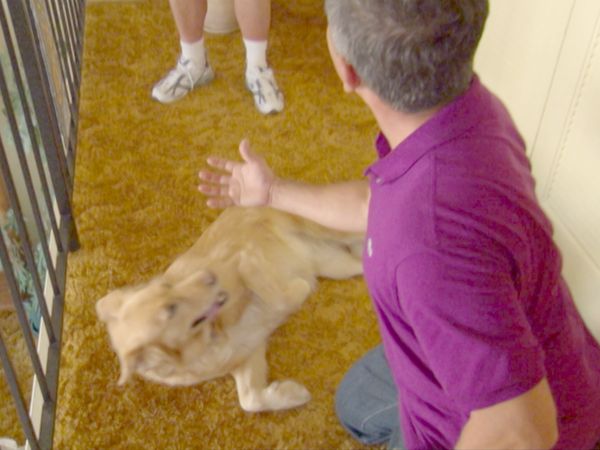 O Encantador de Cães - Amber, Snoopy, & Schroeder