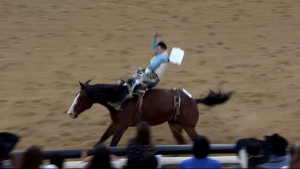 Indian National Finals Rodeo - 2019 Indian National Finals Rodeo Performance 1