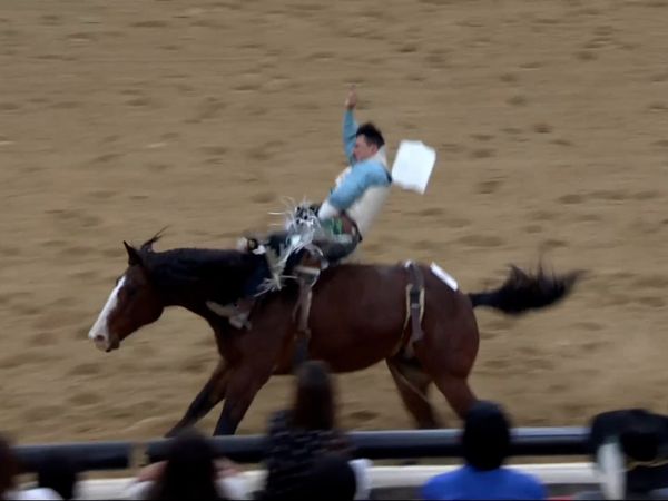 Indian National Finals Rodeo - 2019 Indian National Finals Rodeo Performance 1