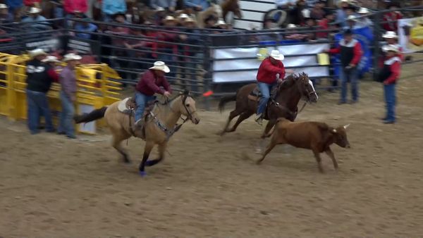 Indian National Finals Rodeo - 2019 Indian National Finals Rodeo Performance 4