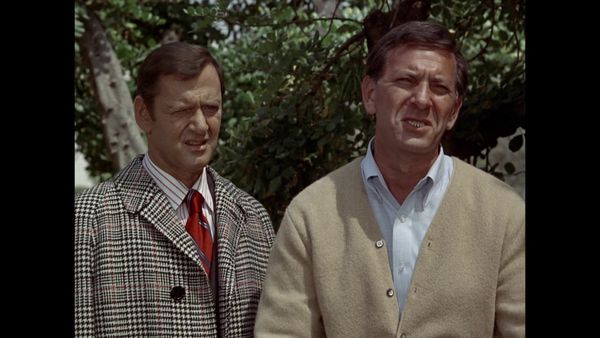 The Odd Couple - It’s All Over Now, Baby Bird
