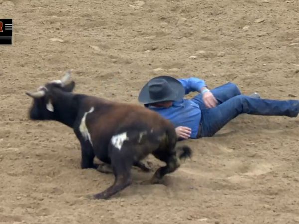 Indian National Finals Rodeo - 2019 Indian National Finals Rodeo Performance 5