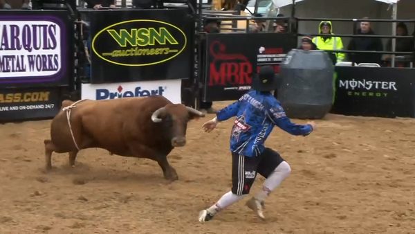 American Freestyle Bullfighting - 2019 American Freestyle Bullfighting Arlington Round 1 Part 1