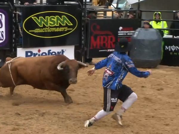 American Freestyle Bullfighting - 2019 American Freestyle Bullfighting Arlington Round 1 Part 1