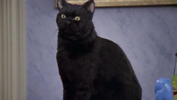 Sabrina: The Teenage Witch - The Band Show