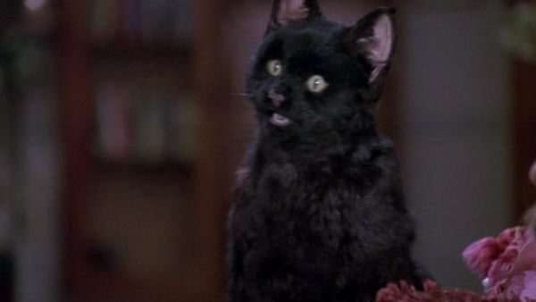 Sabrina: The Teenage Witch - Sabrina Claus