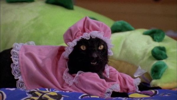 Sabrina: The Teenage Witch - A Girl & Her Cat