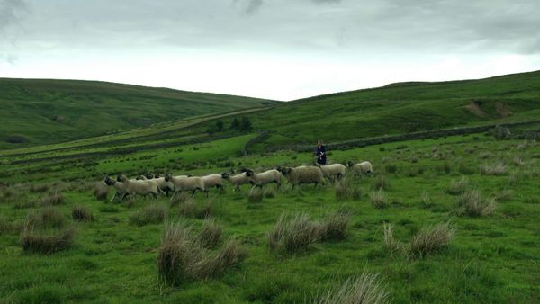 Where the Wild Men Are – Aussteiger am Ende der Welt - Yorkshire