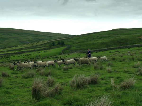 Where the Wild Men Are – Aussteiger am Ende der Welt - Yorkshire