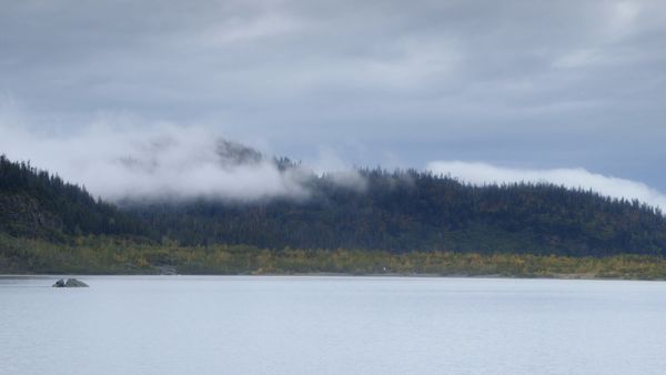 Where the Wild Men Are – Aussteiger am Ende der Welt - Alaska