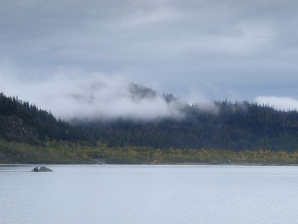 Where the Wild Men Are – Aussteiger am Ende der Welt - Alaska