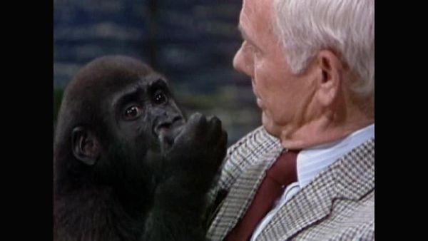 Johnny Carson - The Johnny Carson Show: Animal Antics With Joan Embery (6/13/84)