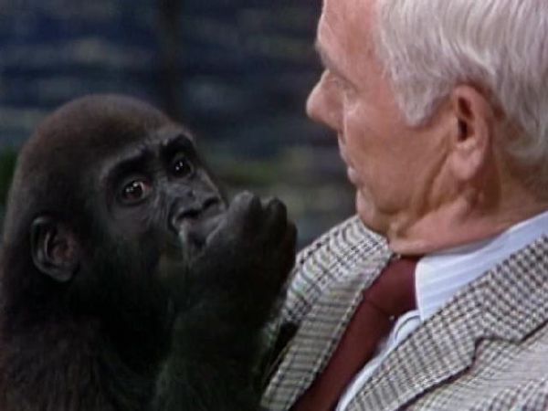Johnny Carson - The Johnny Carson Show: Animal Antics With Joan Embery (6/13/84)