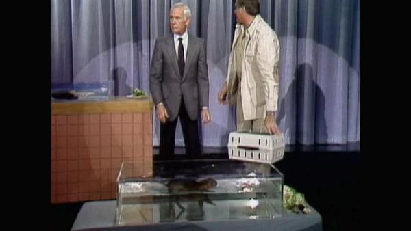 Johnny Carson - The Johnny Carson Show: Animal Antics With Jim Fowler (1/22/88)
