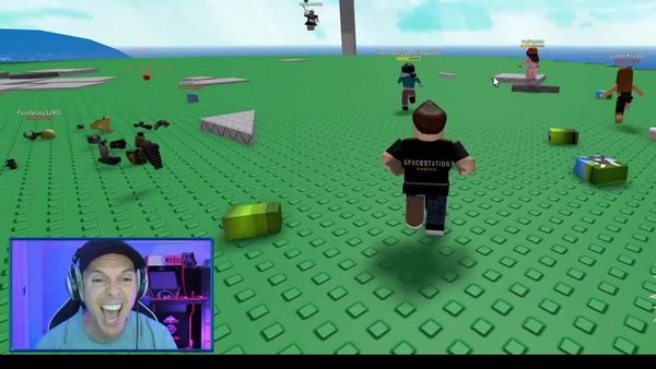 KC! Play Mix - Bee Family Survival