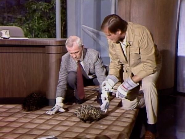The Johnny Carson Show: Hollywood Icons Of The '50s - The Johnny Carson Show: Hollywood Icons Of The '50s - Lauren Bacall (6/23/83)
